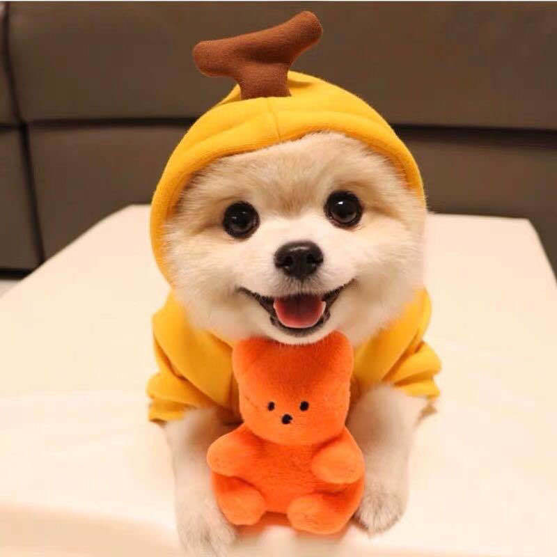 Cute Fruit Dog Clothes For Small Dogs Hoodies Winter Warm Fleece Pet Clothing Puppy Cat Costume Coat For French Chihuahua Outfit - PetParadiseShop