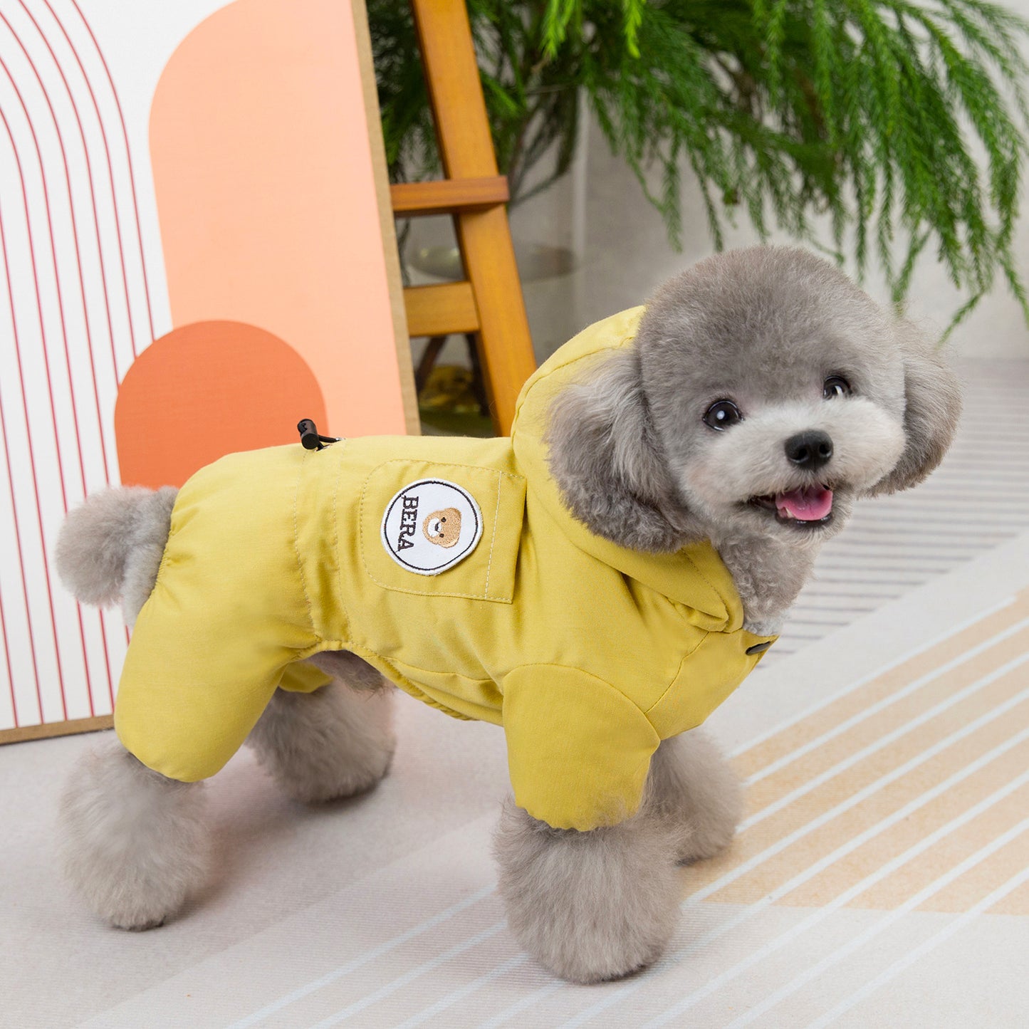 Dog Fashion Autumn And Winter New Clothing - PetParadiseShop