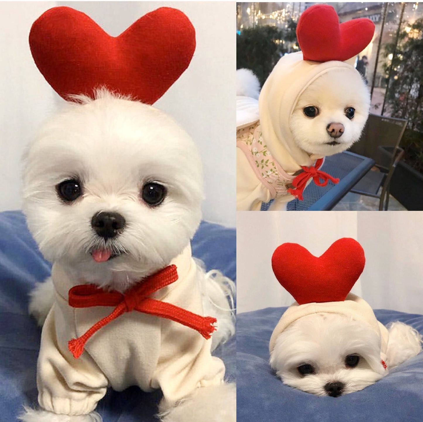 Cute Fruit Dog Clothes For Small Dogs Hoodies Winter Warm Fleece Pet Clothing Puppy Cat Costume Coat For French Chihuahua Outfit - PetParadiseShop