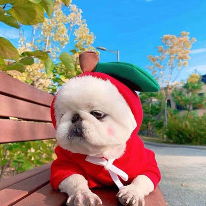 Cute Fruit Dog Clothes For Small Dogs Hoodies Winter Warm Fleece Pet Clothing Puppy Cat Costume Coat For French Chihuahua Outfit - PetParadiseShop