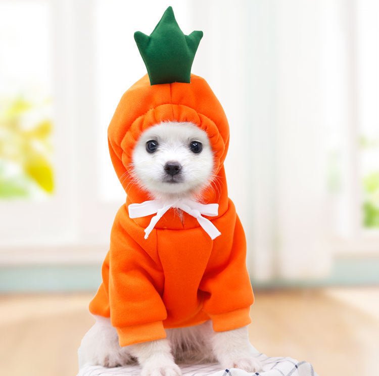 Cute Fruit Dog Clothes For Small Dogs Hoodies Winter Warm Fleece Pet Clothing Puppy Cat Costume Coat For French Chihuahua Outfit - PetParadiseShop