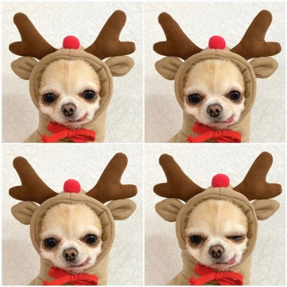 Cute Fruit Dog Clothes For Small Dogs Hoodies Winter Warm Fleece Pet Clothing Puppy Cat Costume Coat For French Chihuahua Outfit - PetParadiseShop