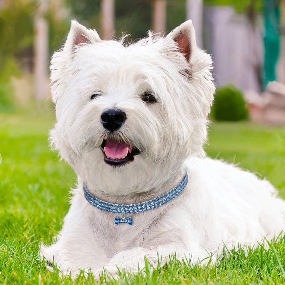 PetLux Кристална Каишка за Кучета и Котки - PetParadiseShop