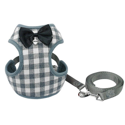 Dog leash - PetParadiseShop