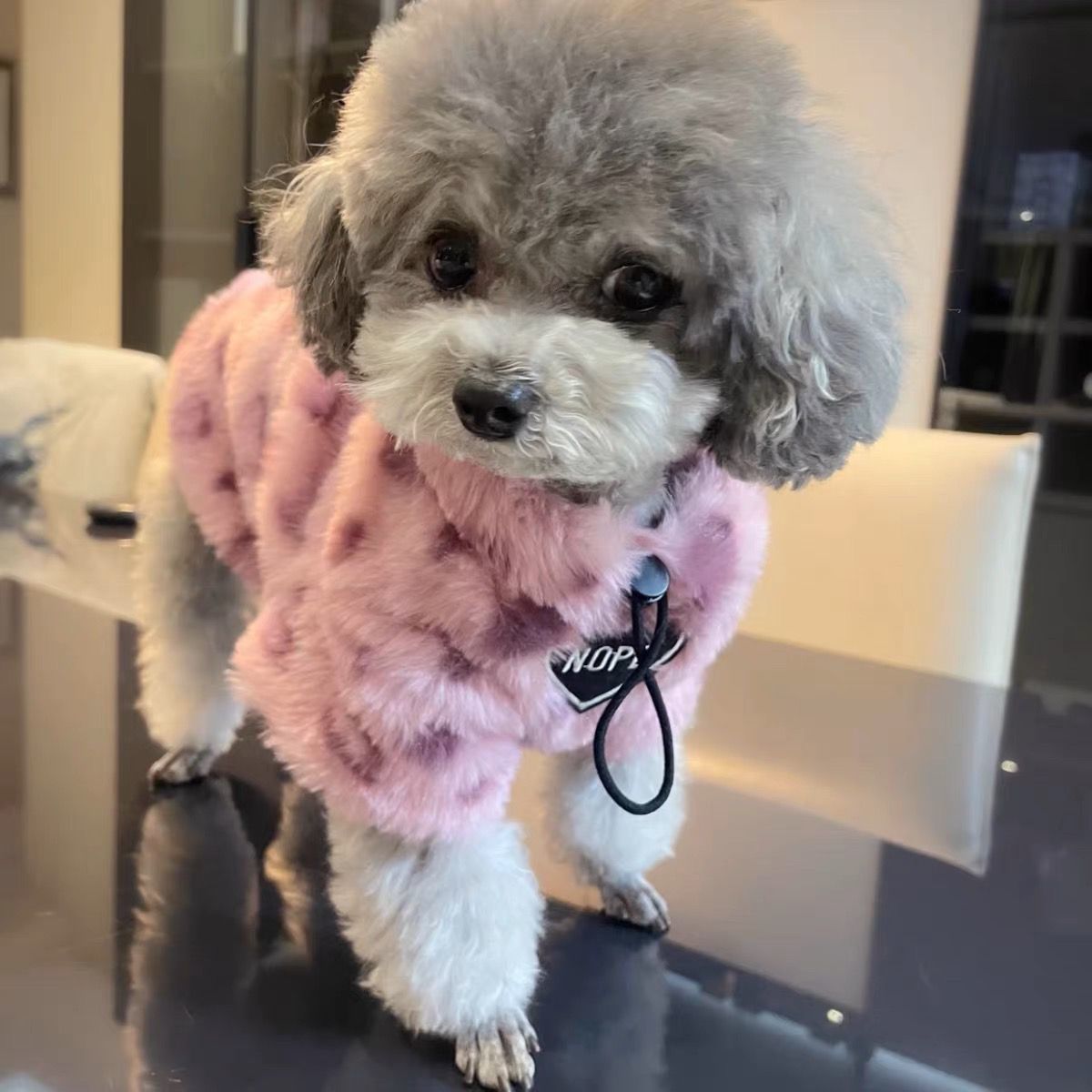 Puppy Clothes Thermal Extra Thick With Fleece Sweater - PetParadiseShop