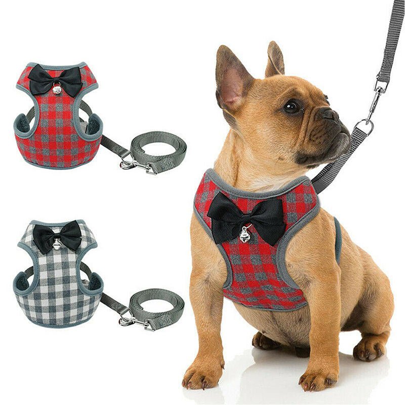 Dog leash - PetParadiseShop