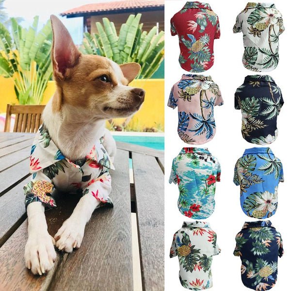 Dog Spring And Summer Thin Shirt Corgi Blue Cat Clothes - PetParadiseShop