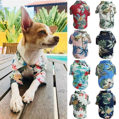Dog Spring And Summer Thin Shirt Corgi Blue Cat Clothes - PetParadiseShop