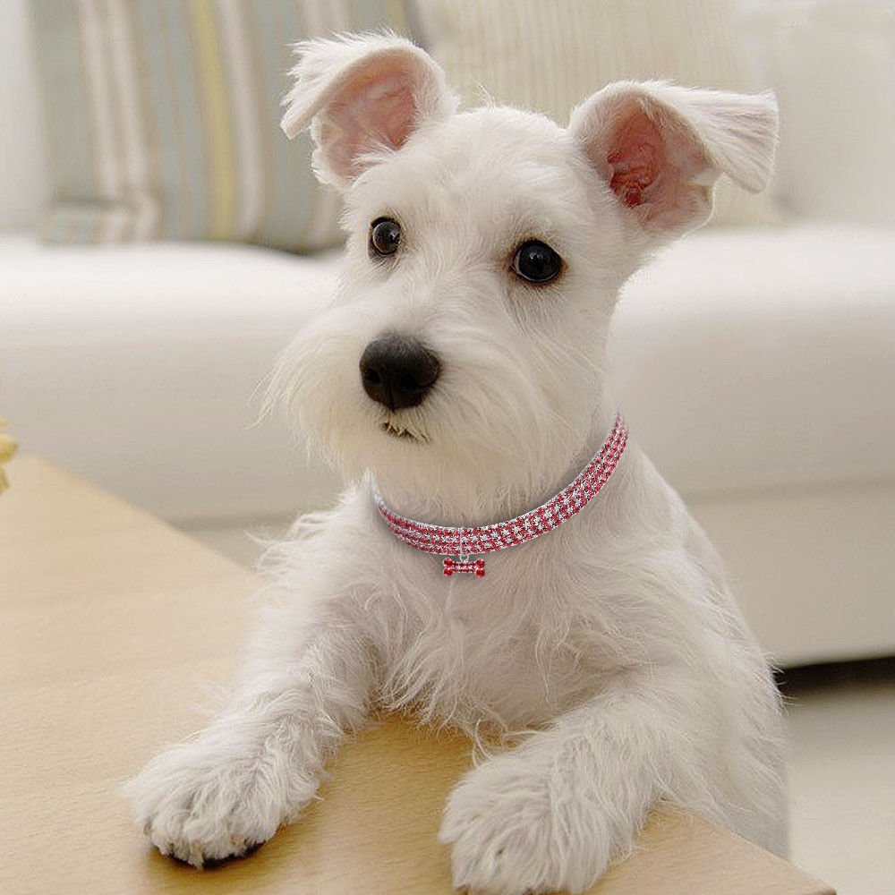 PetLux Кристална Каишка за Кучета и Котки - PetParadiseShop