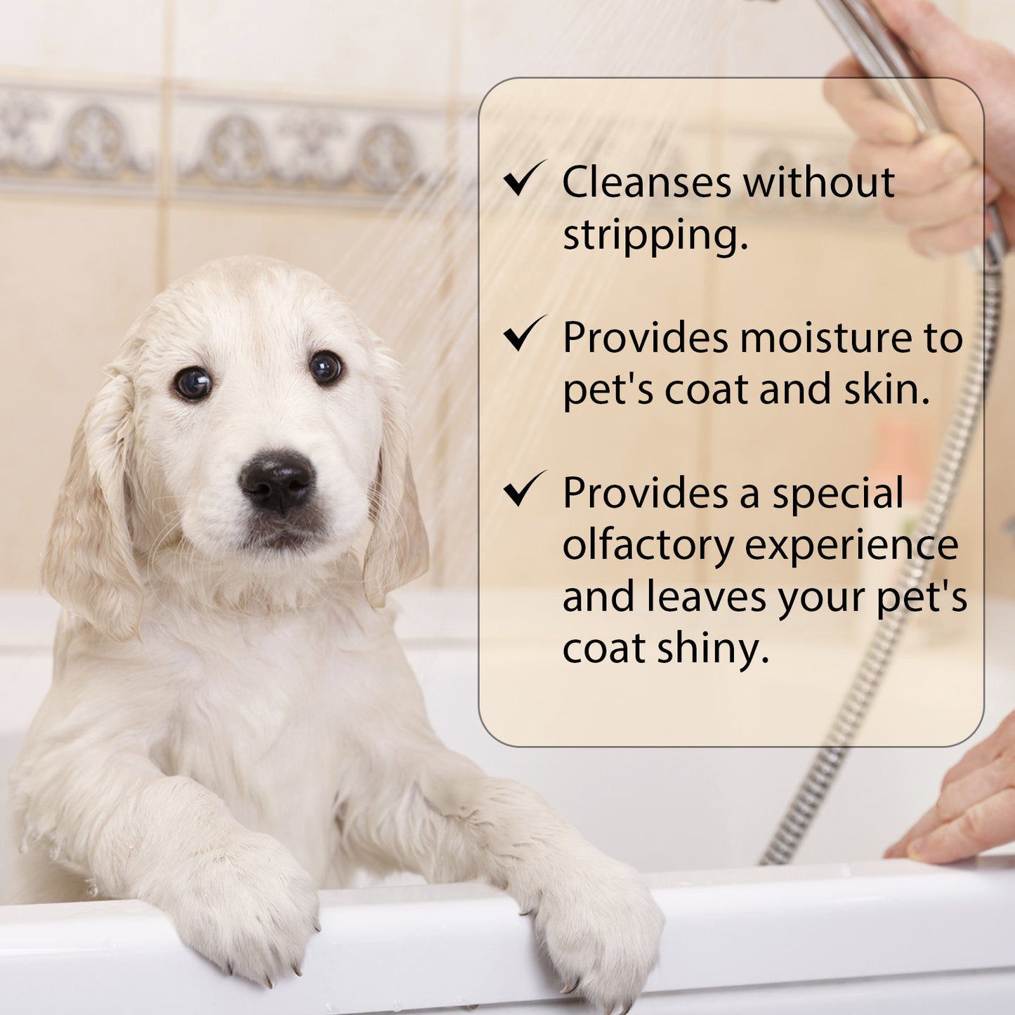 Dog & Cat Shampoo — Нежен шампоан за мека и блестяща козина - PetParadiseShop