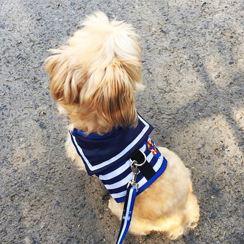 Dog Traction Rope Chest Strap - PetParadiseShop