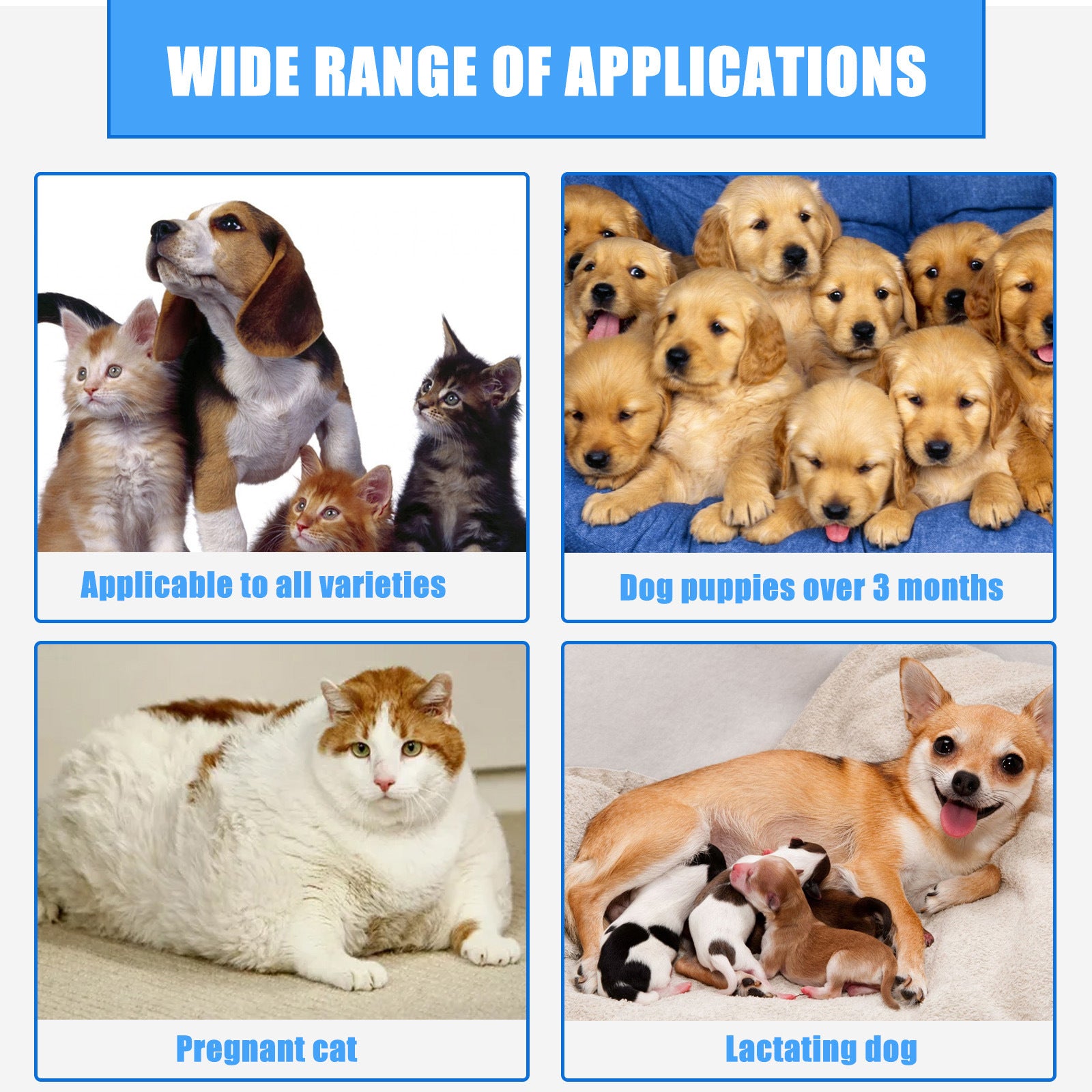 Pet Wound Care Spray — Спрей грижа за рани на домашни любимци 30мл - PetParadiseShop