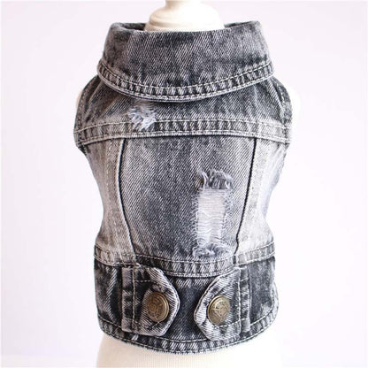 Designer Dog Clothes Small Dog Denim Jacket Coat Cat Costume Puppy Jeans Vest Spring Clothing - PetParadiseShop